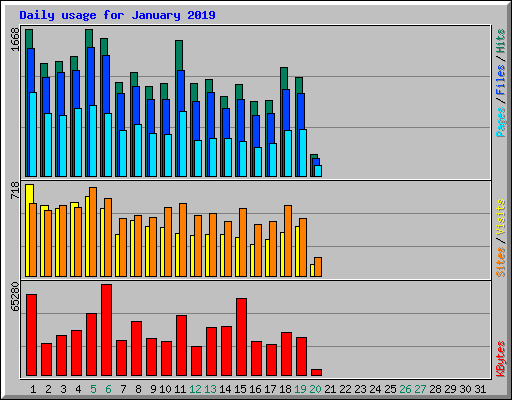 Daily usage for January 2019
