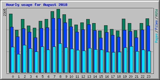 Hourly usage for August 2018