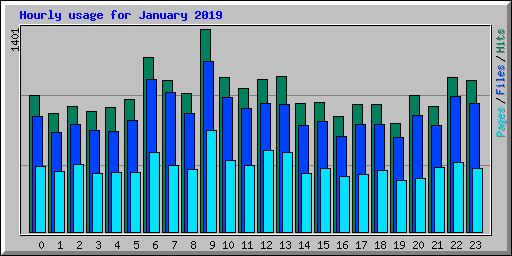 Hourly usage for January 2019